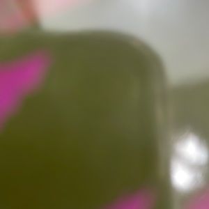 Couldn’t delete listing